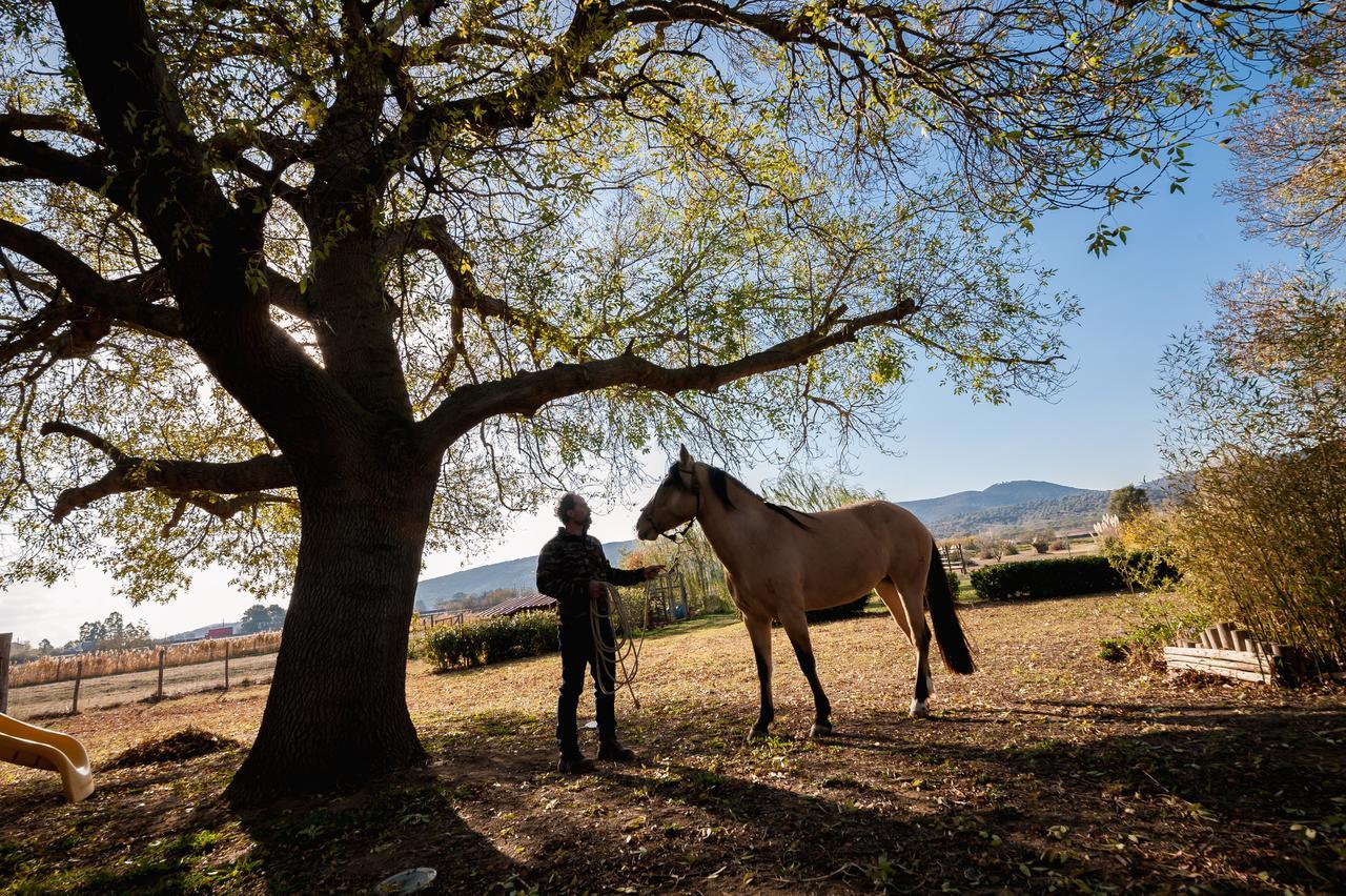 פונטבלנדה El Molino Agriturismo מראה חיצוני תמונה